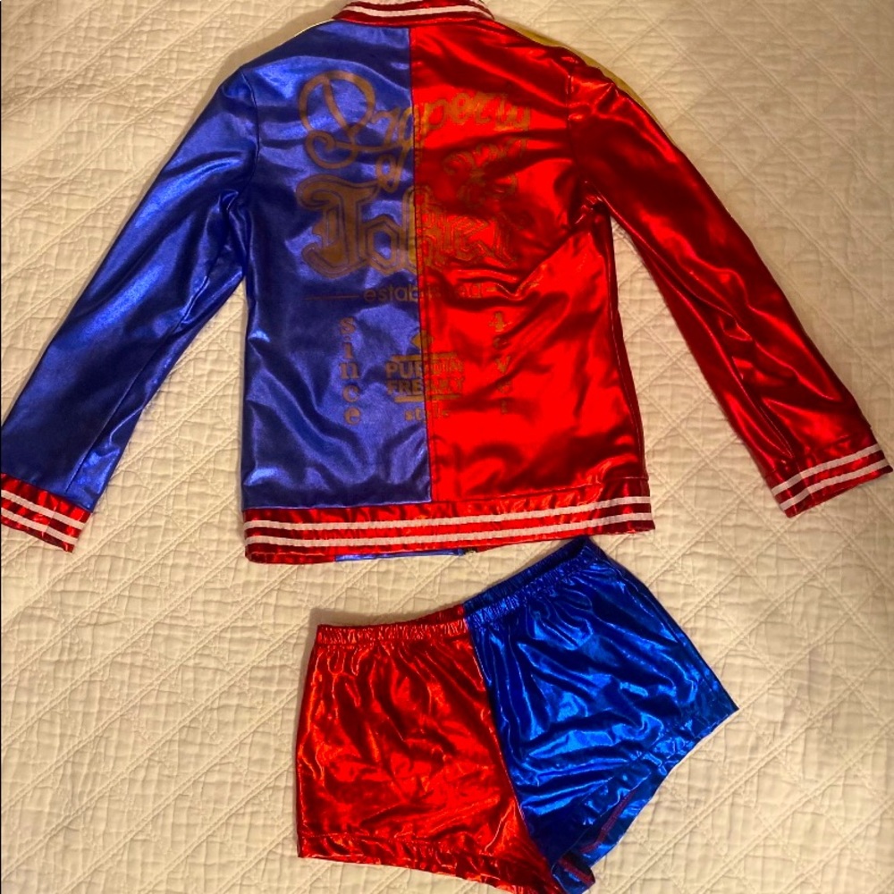 Harley Quinn costume